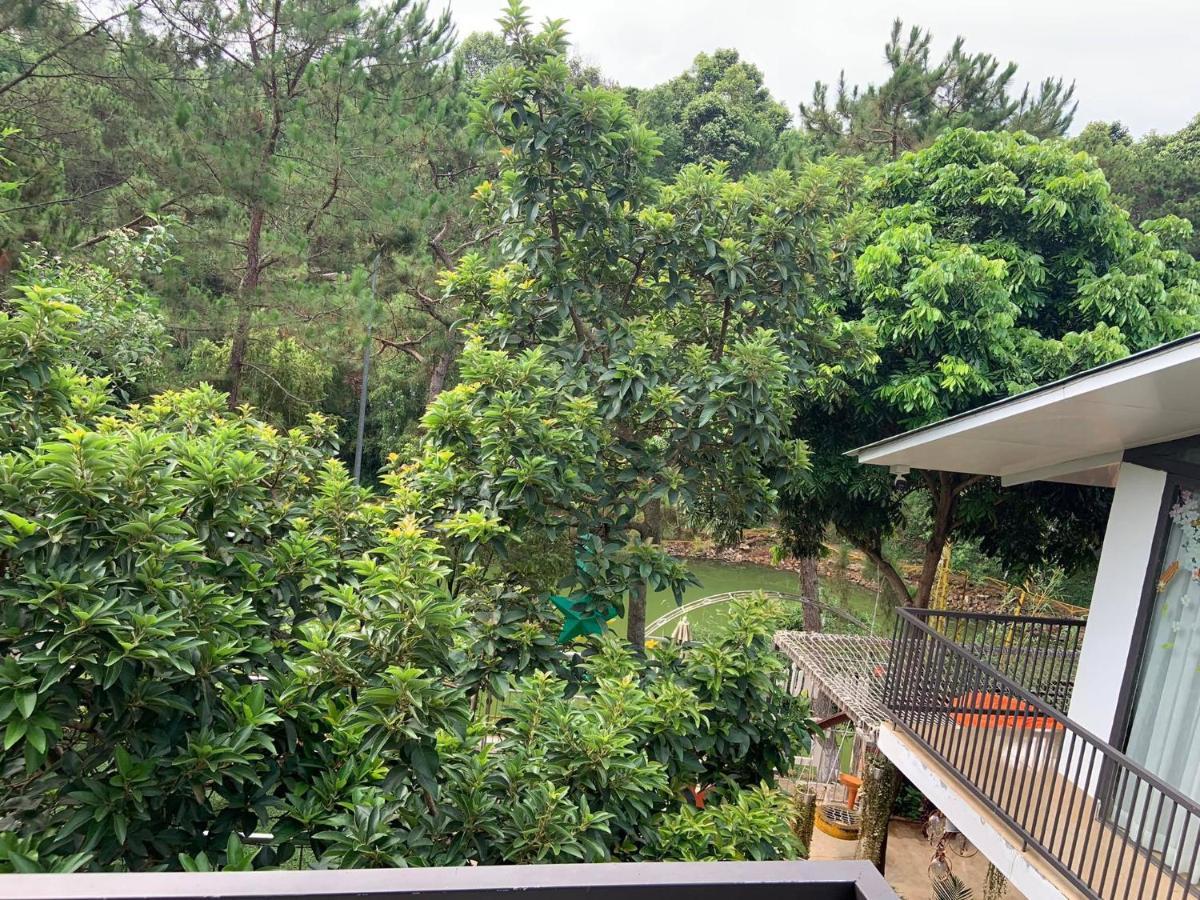 Lake View Homestay เปลกู ภายนอก รูปภาพ